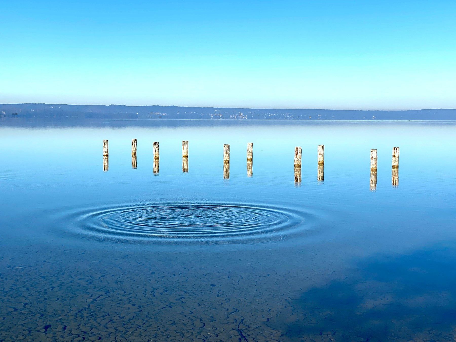 Holzpfähle im spiegelglatten Starnberger See, ein feiner Wasserkreis