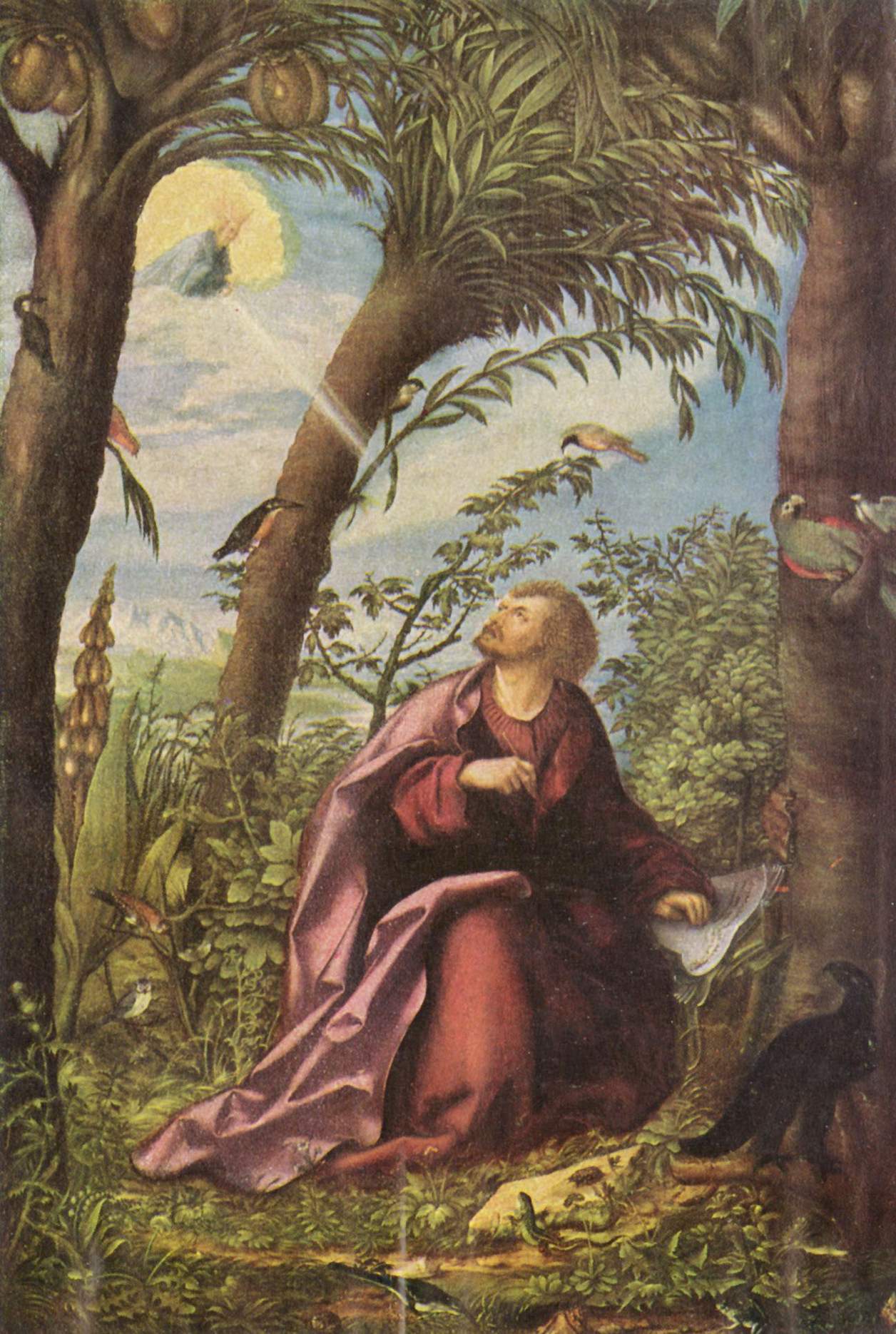 Gemälde von Hans Burgkmair: Johannes blickt aus einer üppigen Landschaft mit Palmen zum Himmel